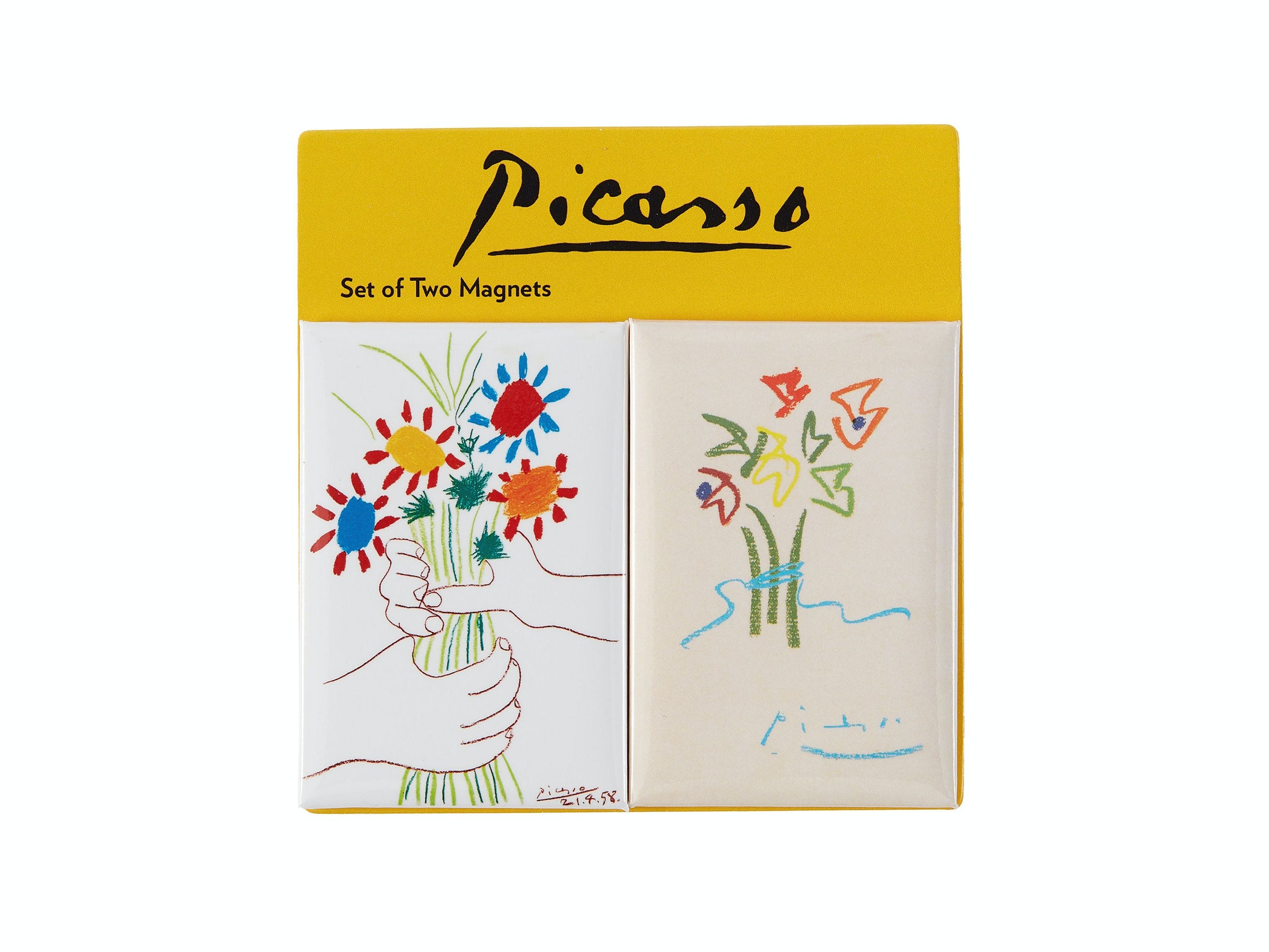 Picasso: Drawing from Life The Art Institute of Chicago Museum Shop