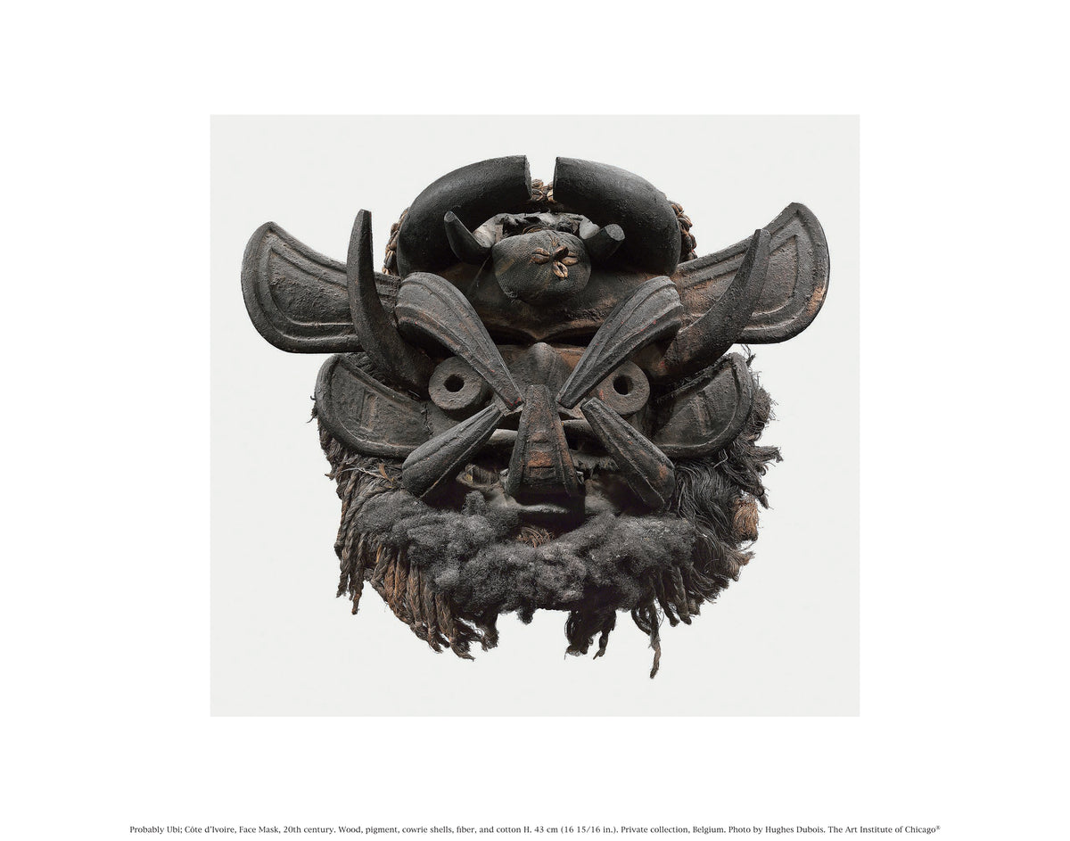 Côte d'Ivoire Face Mask Unmatted Print – The Art Institute of