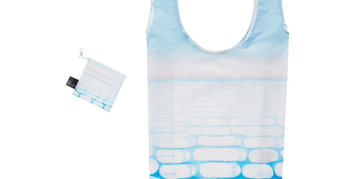 洋書 ia O'Keeffe O'Keeffe (Basic Art Series 2.0): Benke, Britta