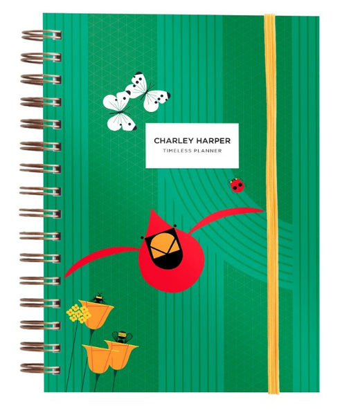 Primary / Front Facing