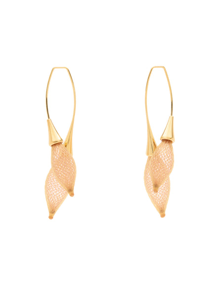 Primary / Front Facing