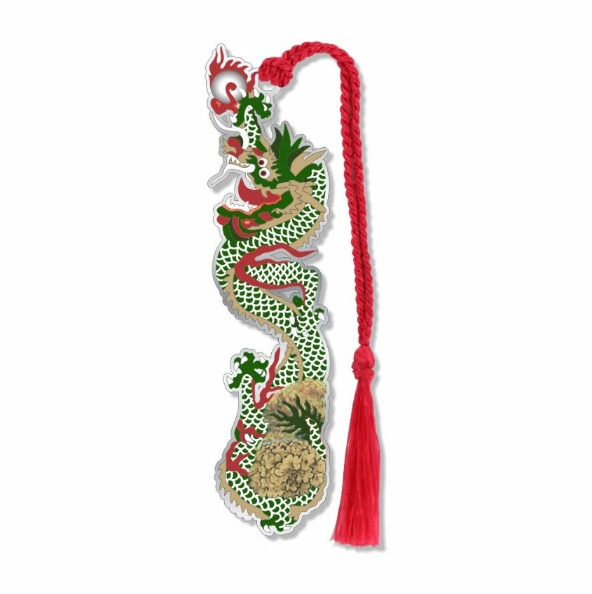 Primary / Front Facing