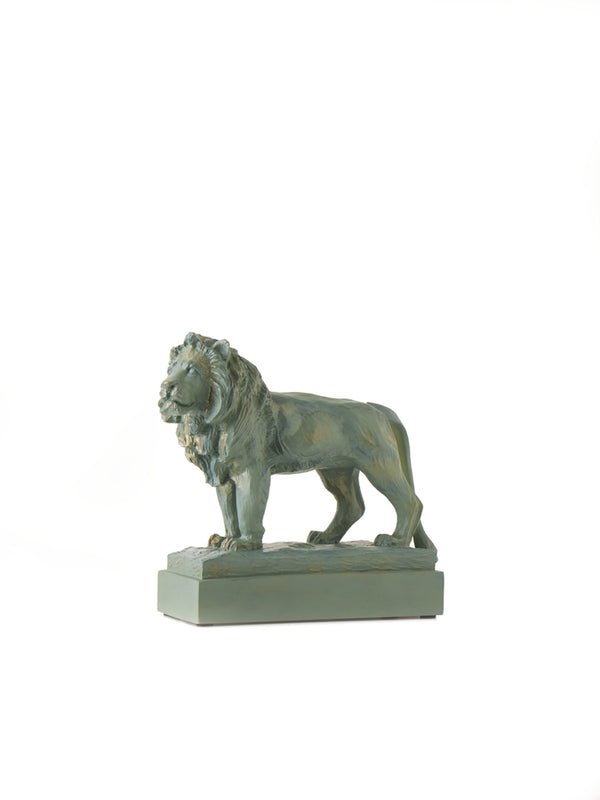 Primary / Front Facing