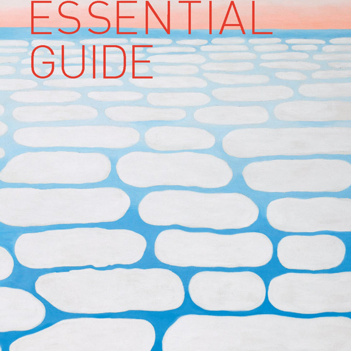 Essential Guide – The Art Institute of Chicago Museum Shop