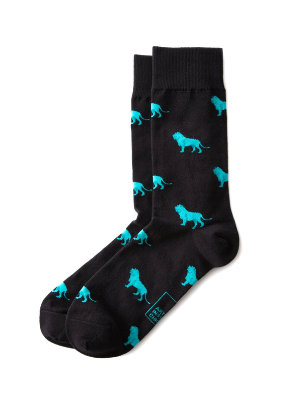 Primary / Front Facing